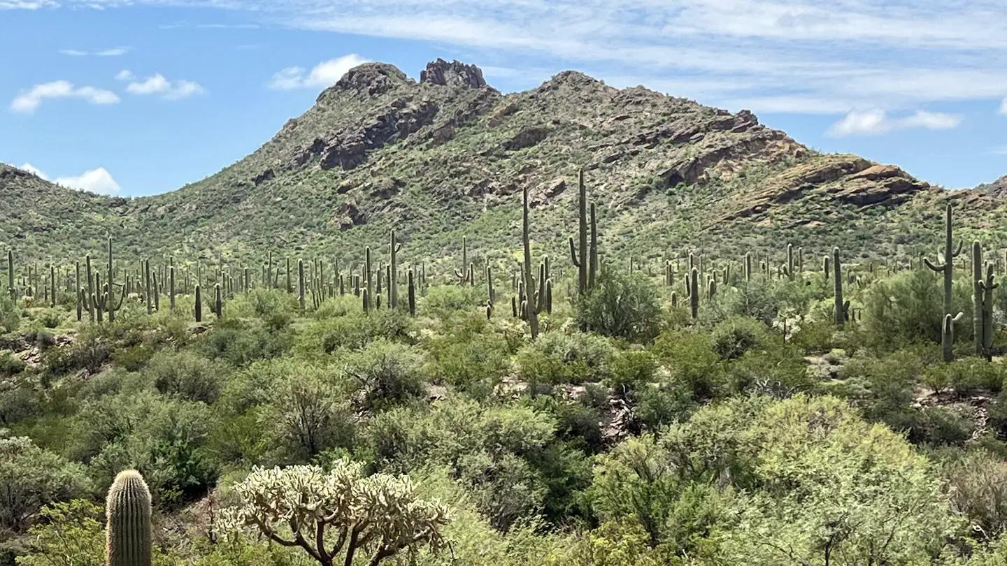 Alamo Canyon Primitive Campground photo