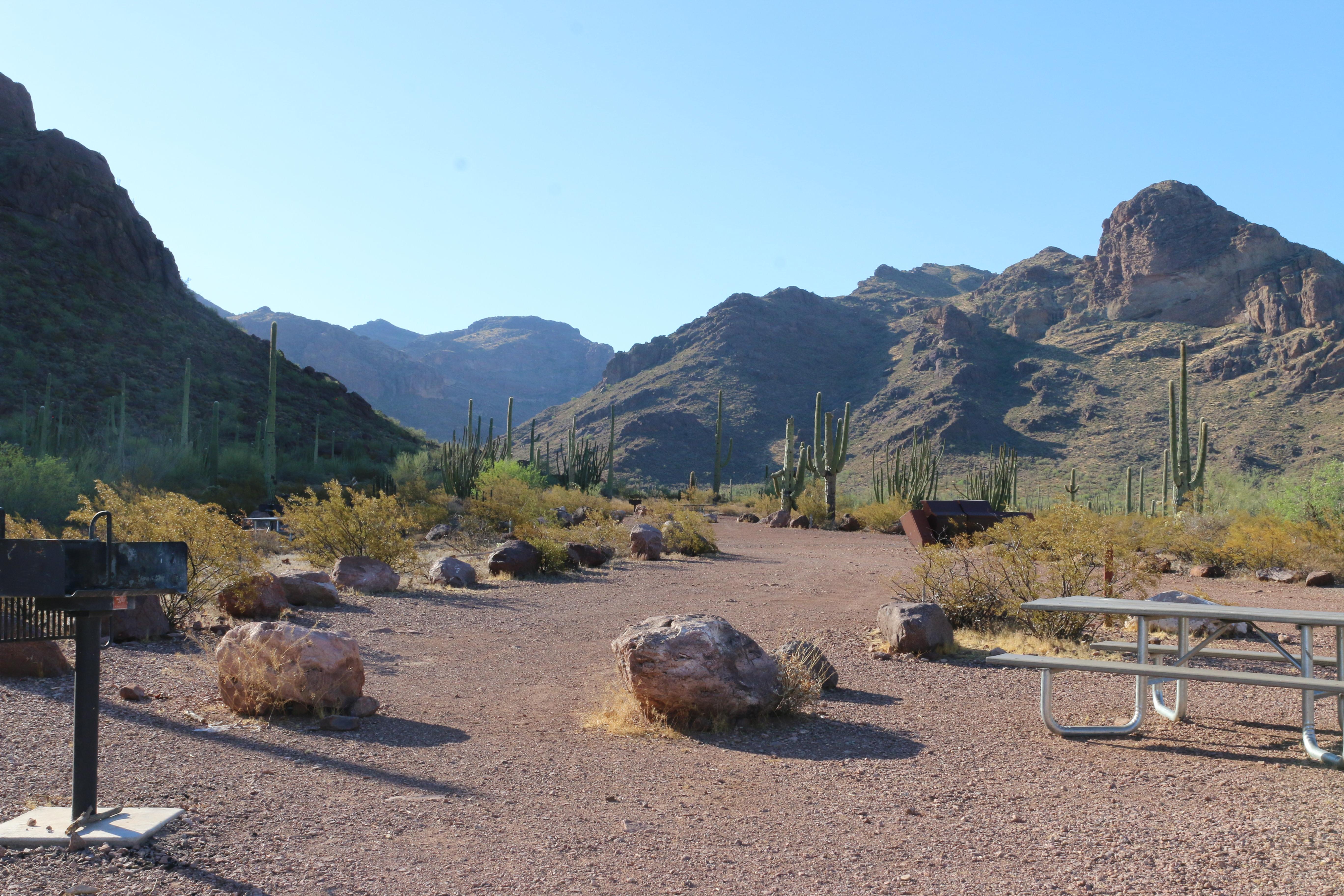 Alamo Canyon Primitive Campground photo 2