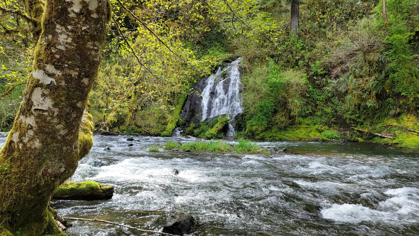 Alder Glen Recreation Site photo