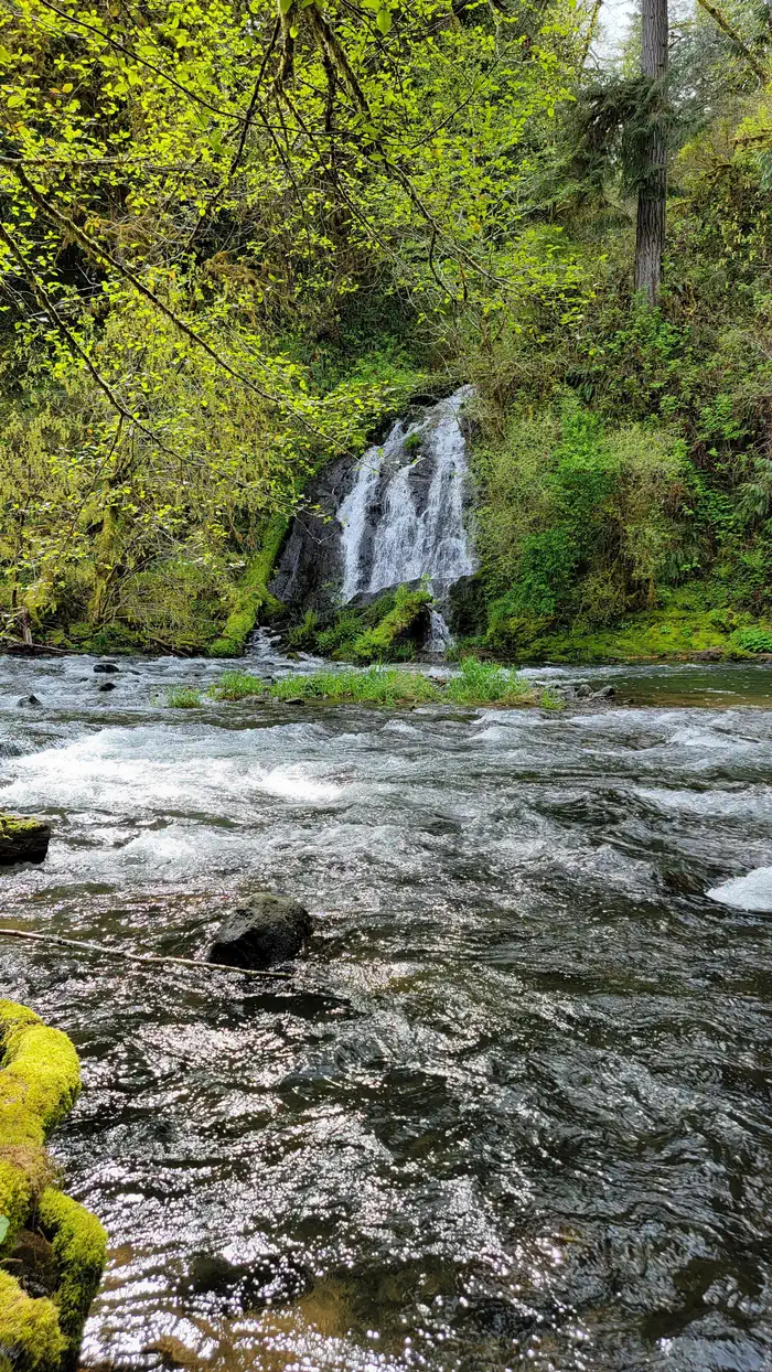 Alder Glen Recreation Site photo 4