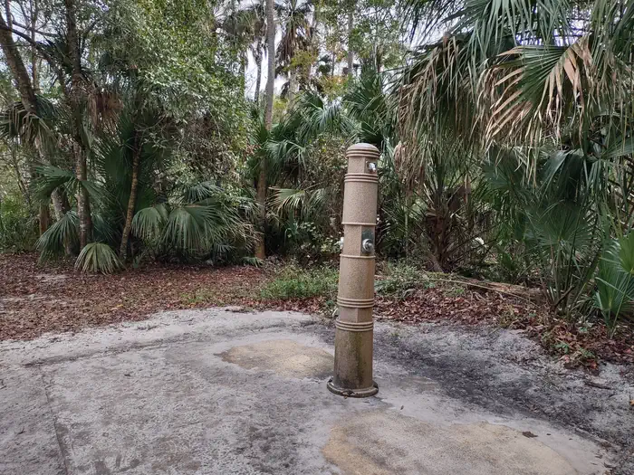 Alexander Springs Recreation Area photo 4