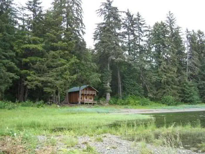 ALLAN POINT CABIN photo 2