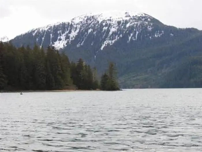 ALLAN POINT CABIN photo 5