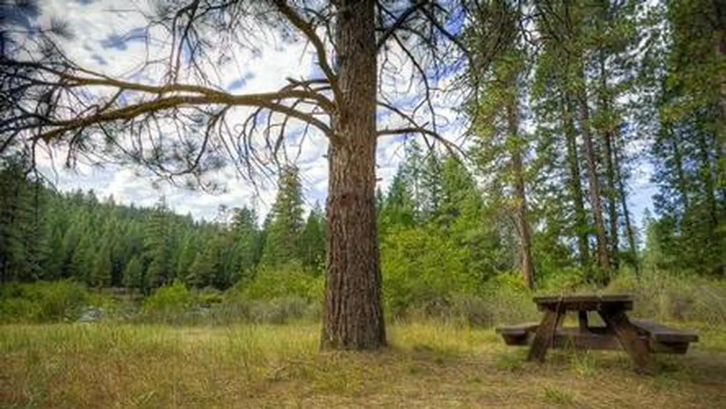 ALLEN SPRINGS CAMPGROUND photo