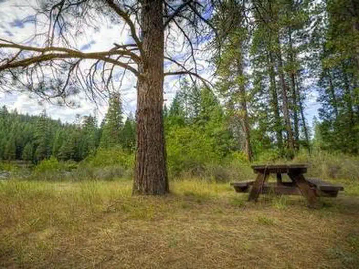 ALLEN SPRINGS CAMPGROUND photo 4