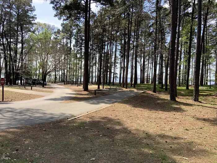 ALLEY CREEK CAMP photo 3