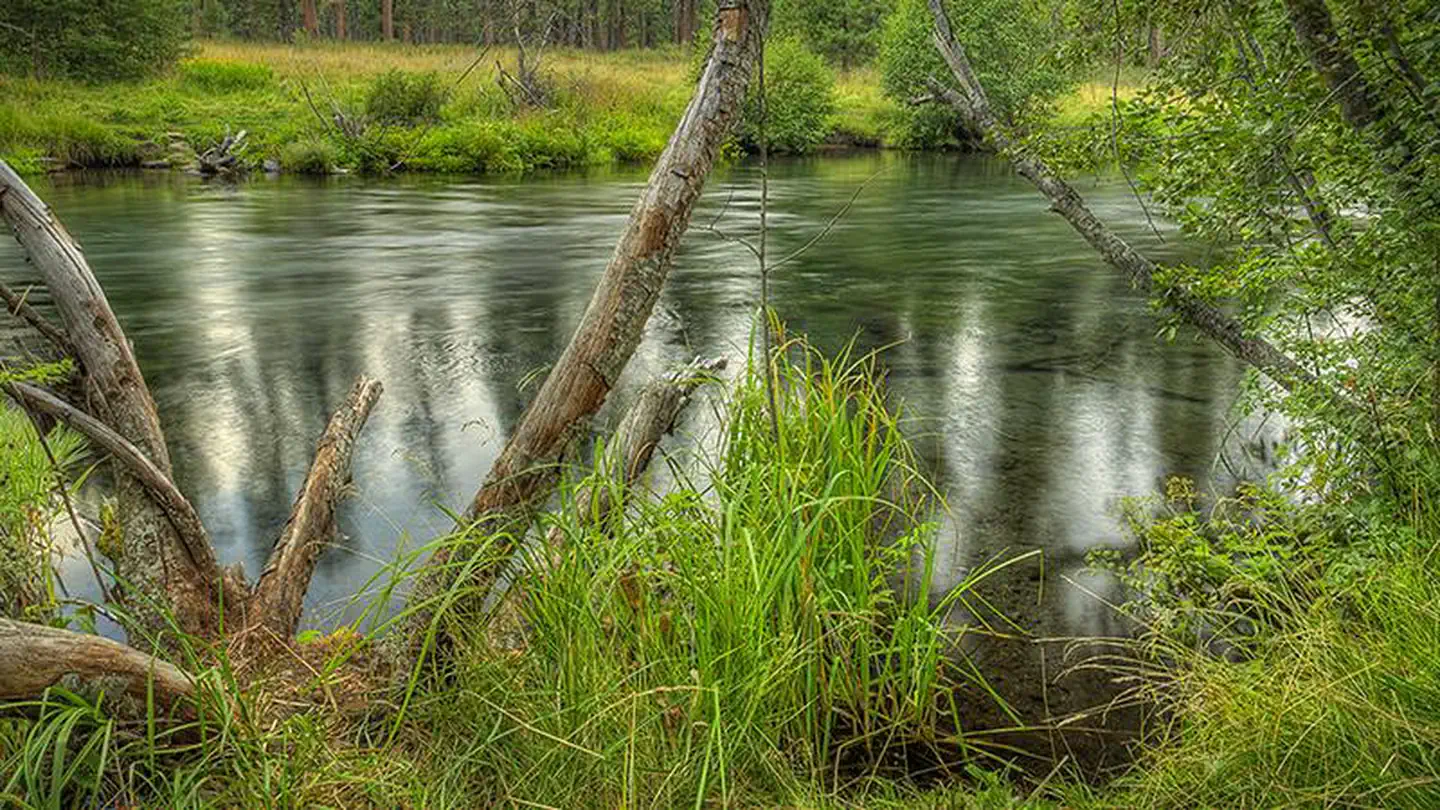 ALLINGHAM CAMPGROUND photo