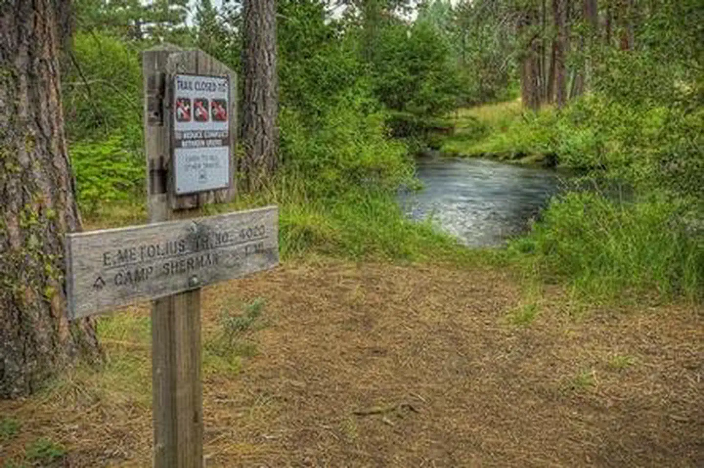 ALLINGHAM CAMPGROUND photo 2