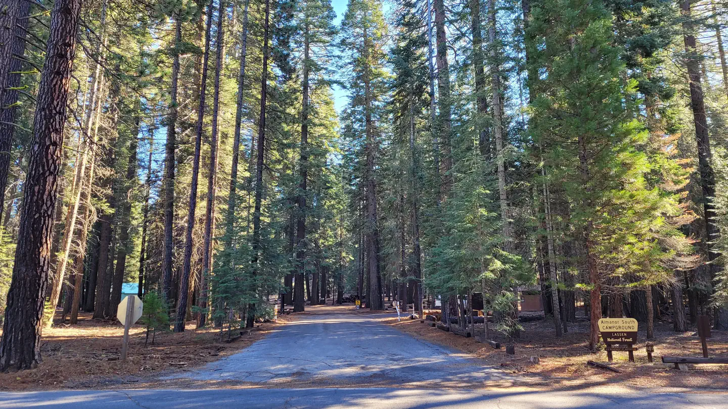 ALMANOR photo