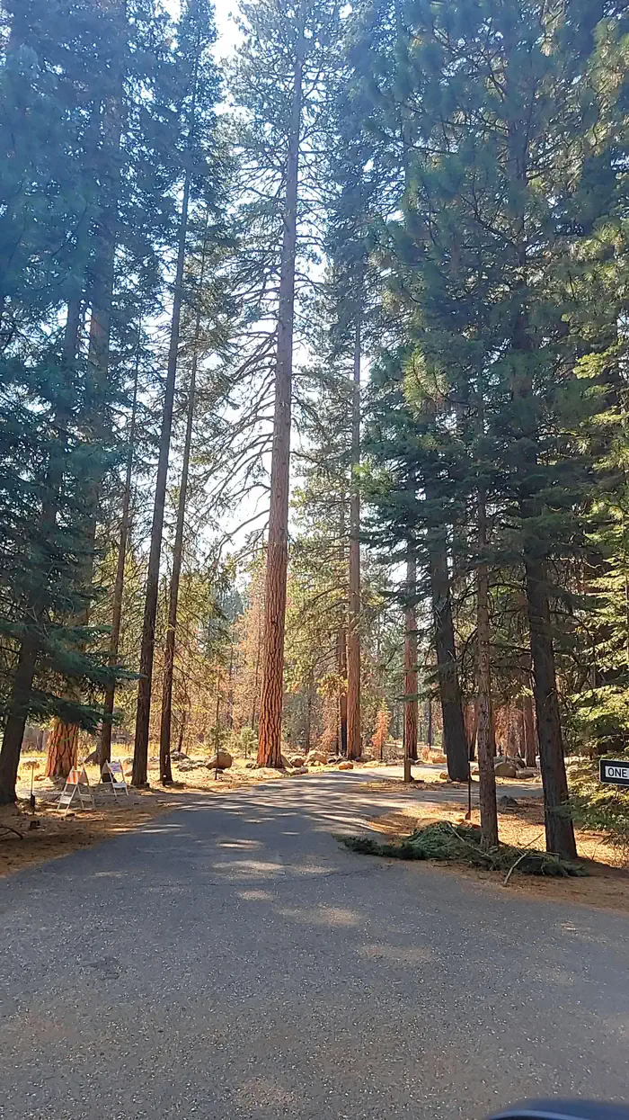 ALMANOR photo 3