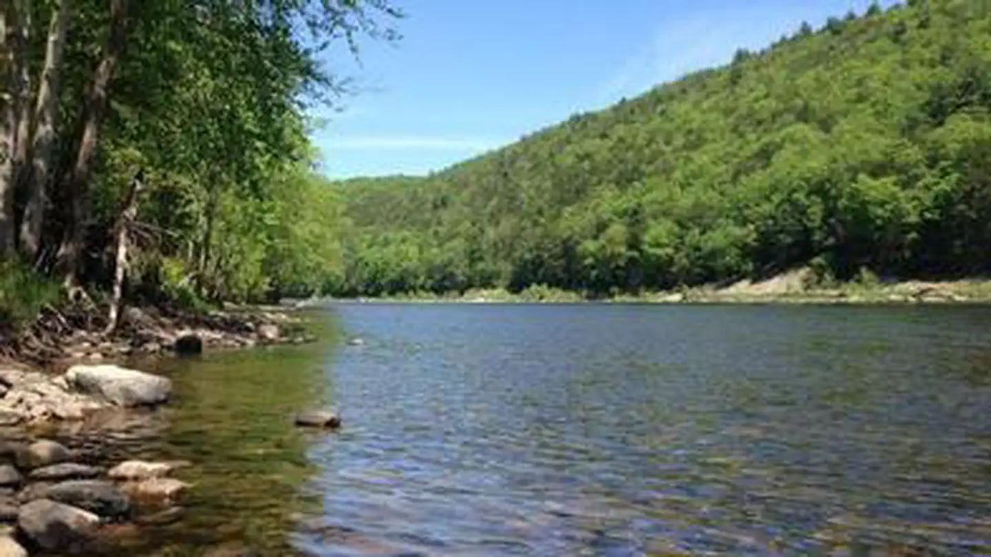 Alosa Campsites photo