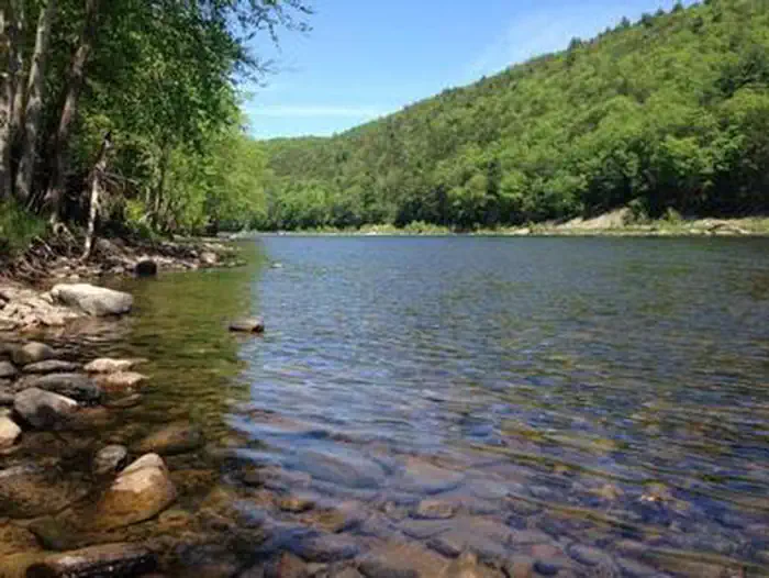Alosa Campsites photo 3