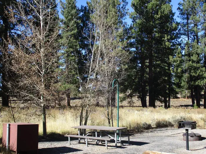 Alpine Meadow Campground photo 2