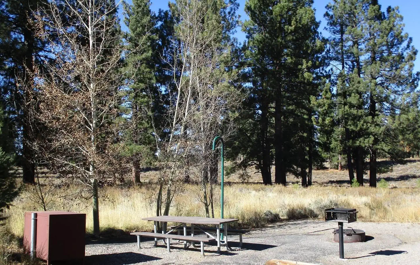 Alpine Meadow Campground photo 5
