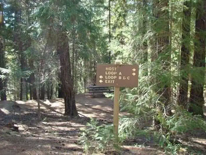 ALPINE VIEW CAMPGROUND photo 2
