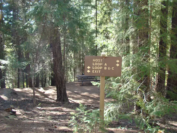 ALPINE VIEW CAMPGROUND photo 3