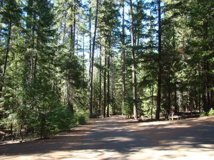 ALPINE VIEW CAMPGROUND photo 4