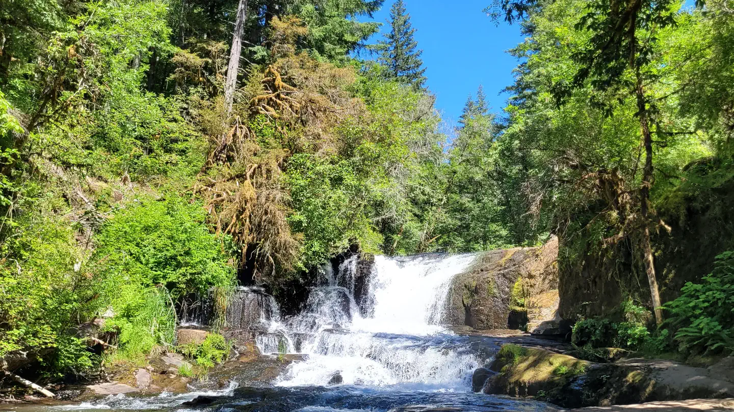 Alsea Falls Recreation Site (Campground) photo
