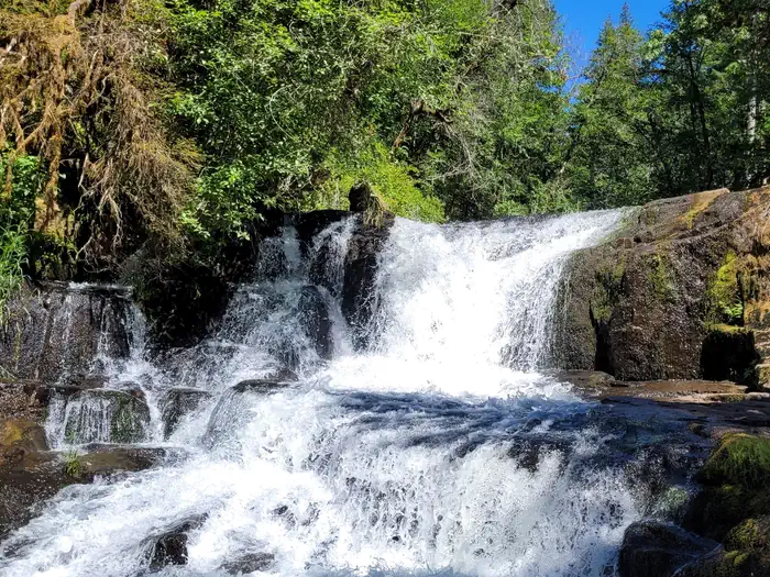 Alsea Falls Recreation Site (Campground) photo 2