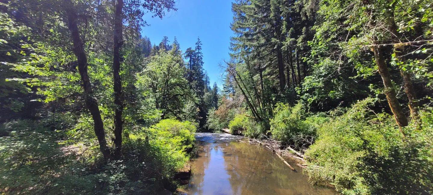 Alsea Falls Recreation Site (Campground) photo 4