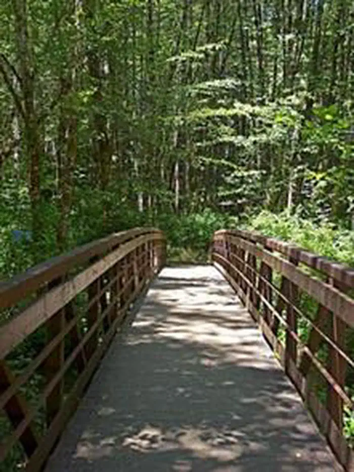 Alsea Falls Recreation Site (Campground) photo 5