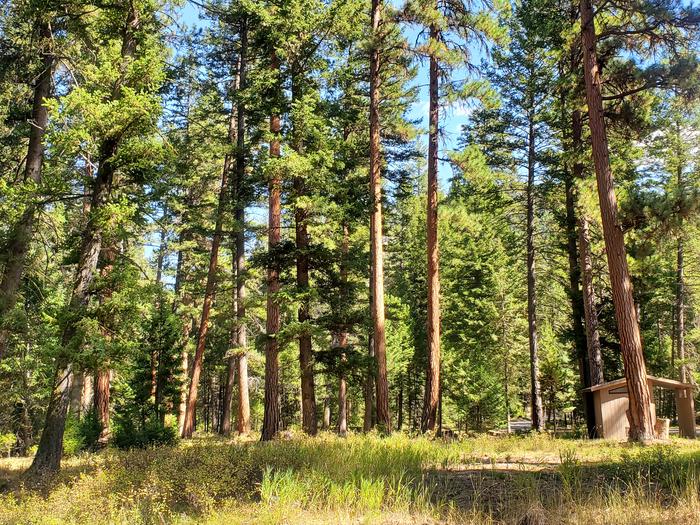 ALTA CAMPGROUND photo 2