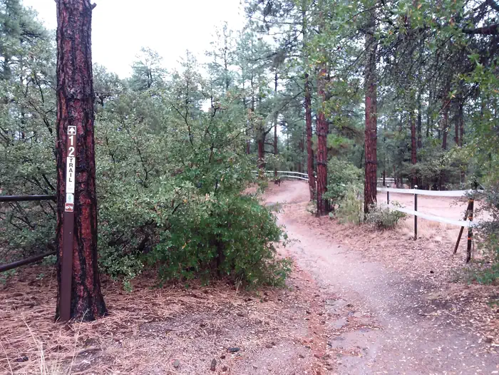 ALTO PIT OHV CAMPGROUND photo 2
