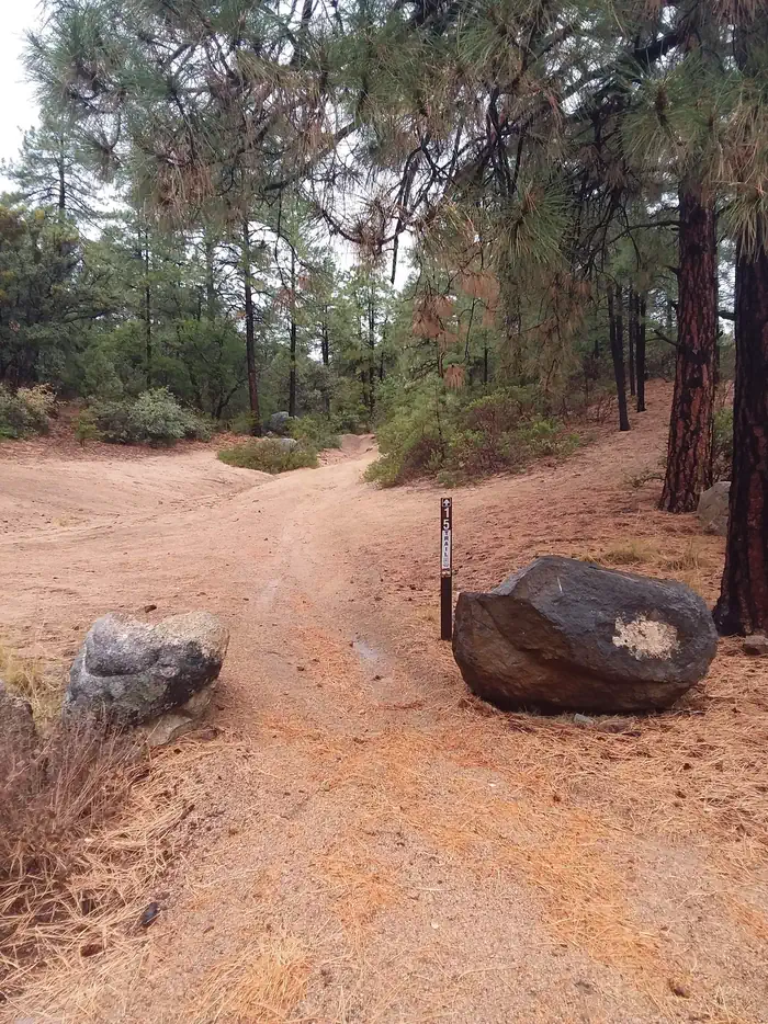 ALTO PIT OHV CAMPGROUND photo 3
