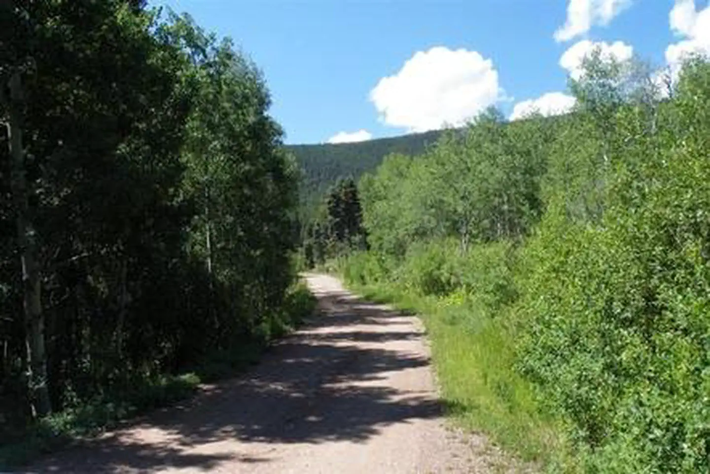 ALVARADO CAMPGROUND photo 2