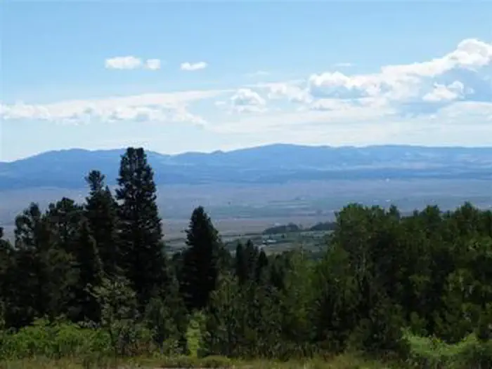 ALVARADO CAMPGROUND photo 3