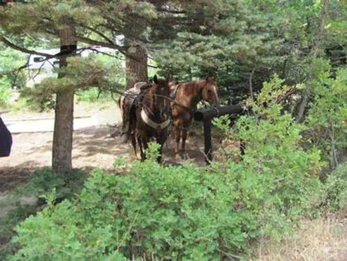 ALVARADO CAMPGROUND photo 5
