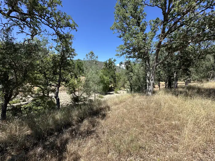 American Canyon Campground photo 2