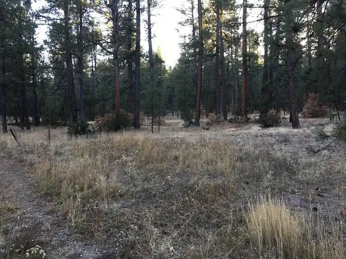 AMOLE CANYON GROUP SHELTER photo 5