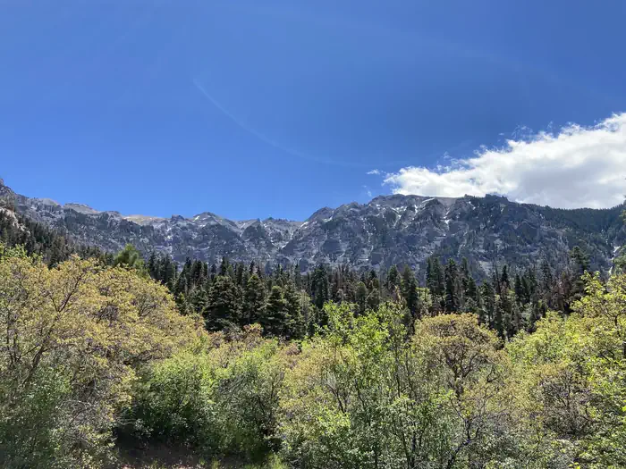 AMPHITHEATER (CO) photo