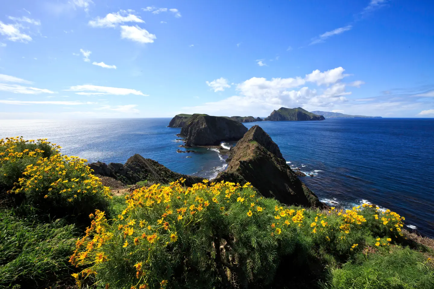 ANACAPA ISLAND photo