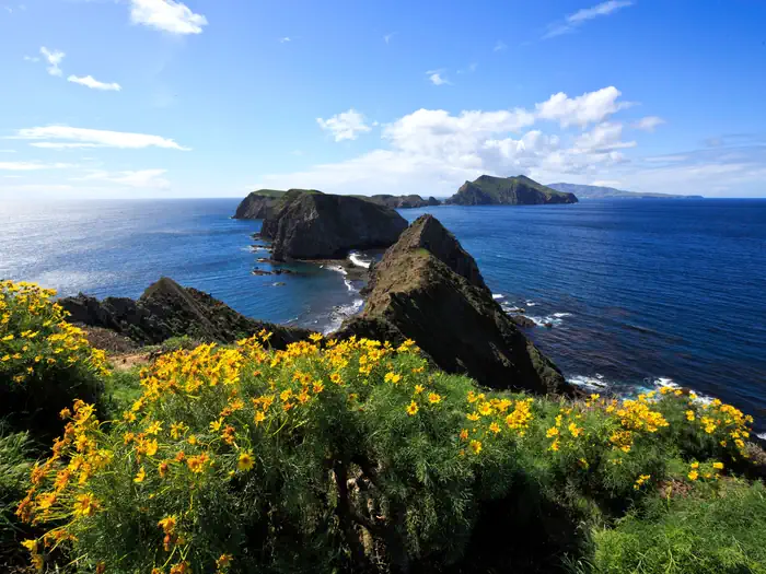 ANACAPA ISLAND photo 2