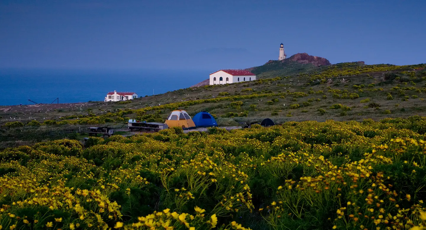 ANACAPA ISLAND photo 3