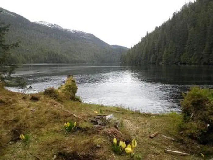 ANAN LAKE CABIN photo 4