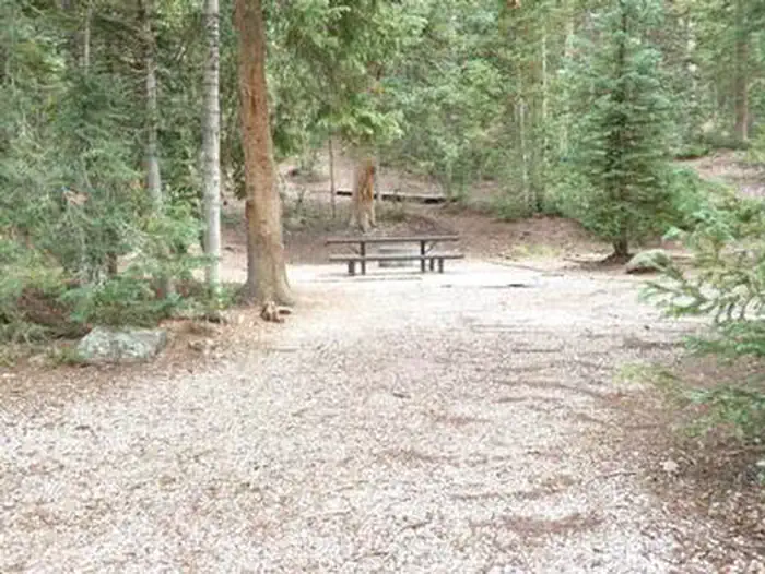 Anderson Meadow Campground (Fishlake NF, UT) photo 2