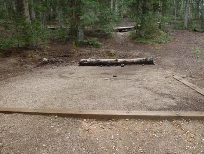 Anderson Meadow Campground (Fishlake NF, UT) photo 3