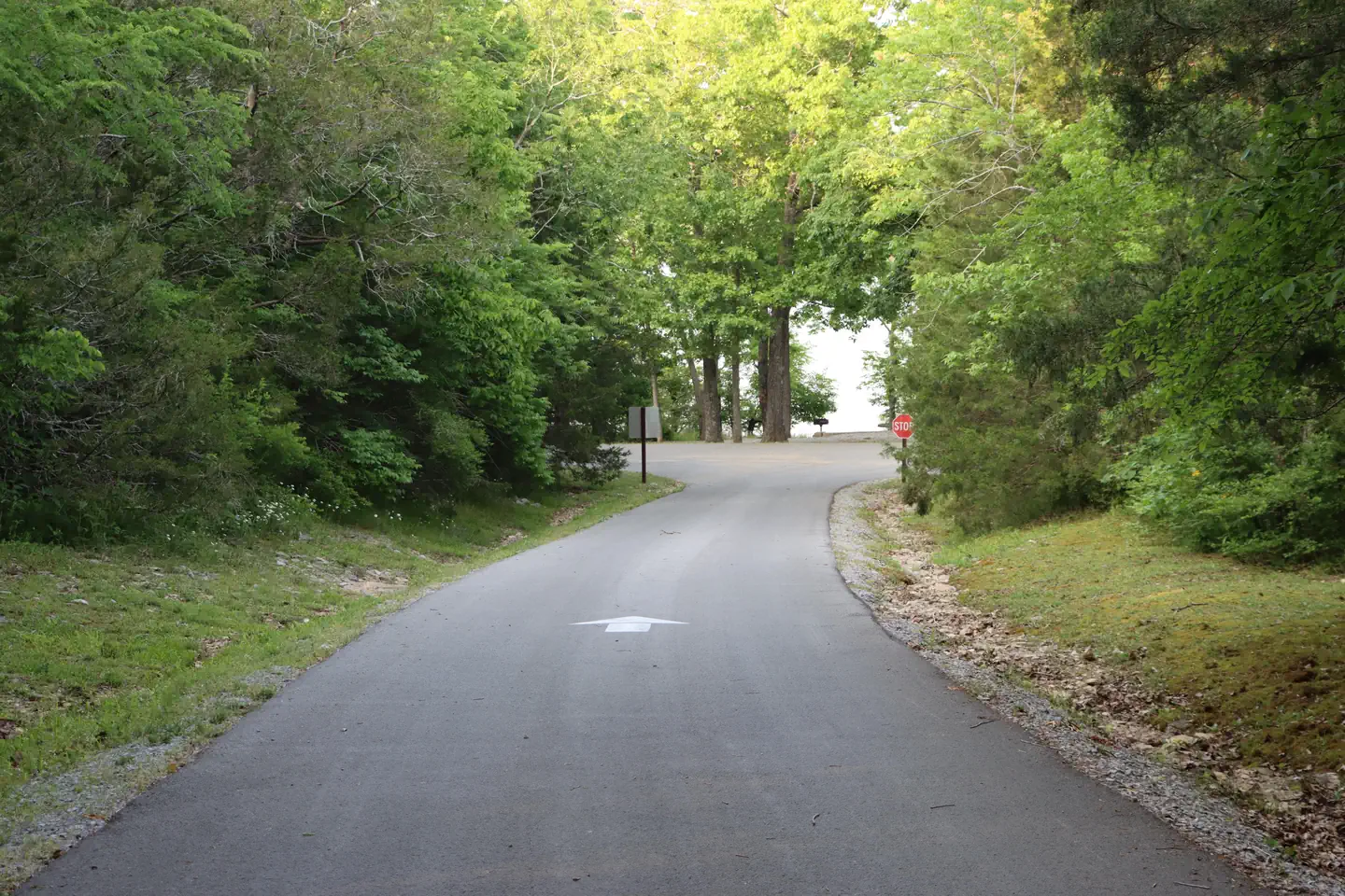 ANDERSON ROAD CAMPGROUND photo 5