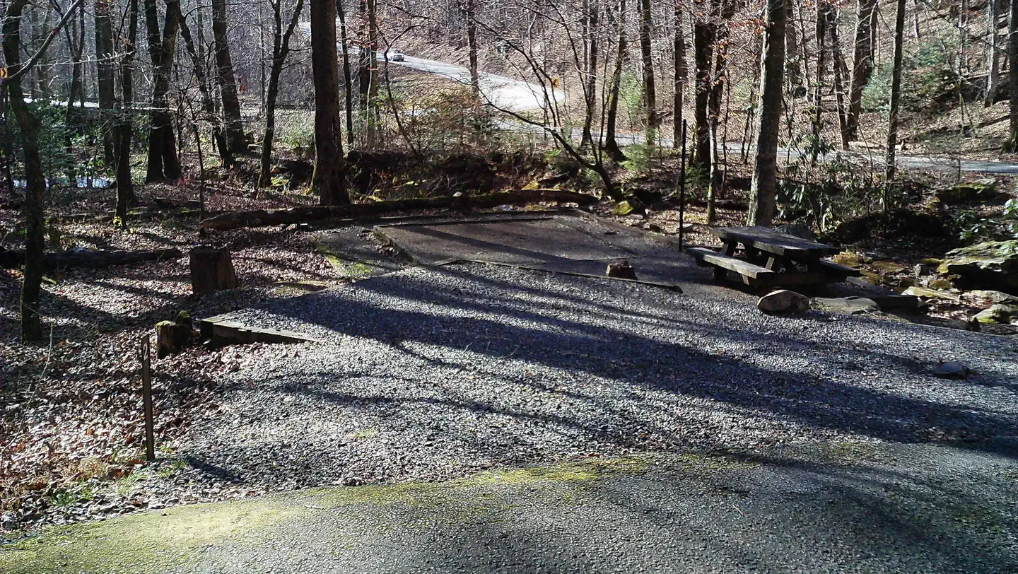 Andrew's Cove Campground photo 2