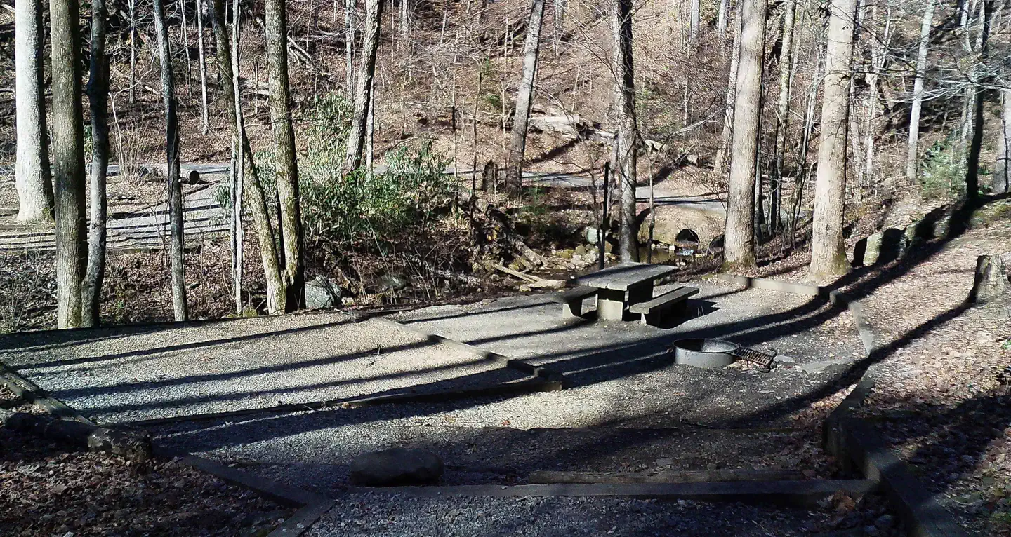 Andrew's Cove Campground photo 3