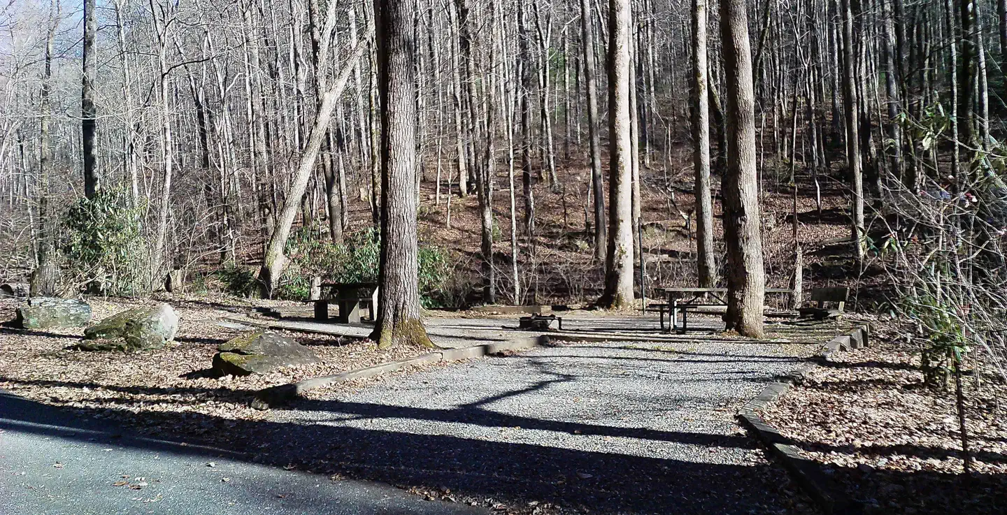 Andrew's Cove Campground photo 4