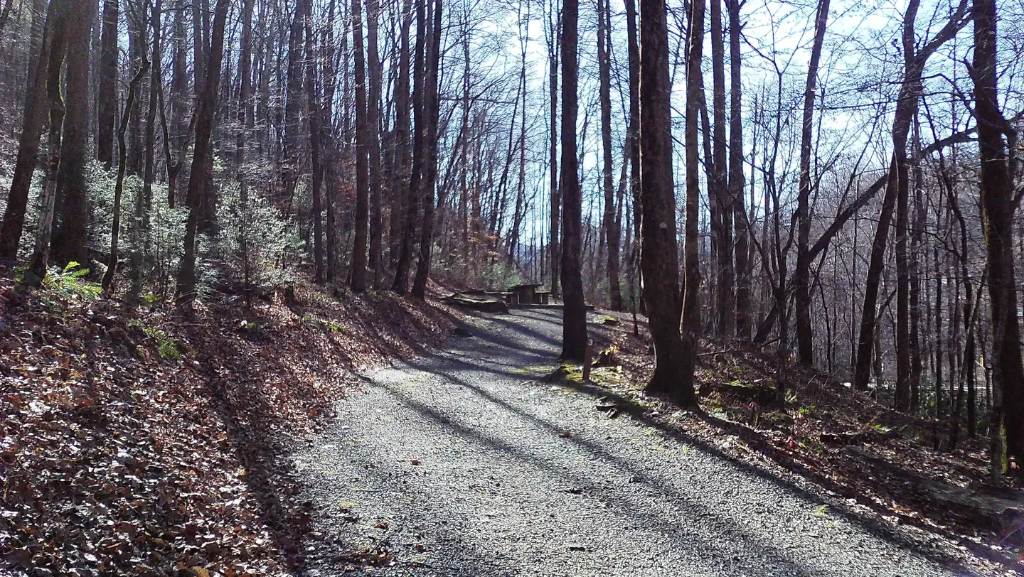 Andrew's Cove Campground photo 5