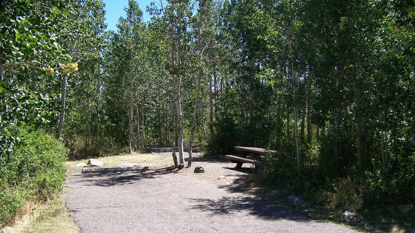Angel Creek (Humboldt-Toiyabe National Forest, NV) photo