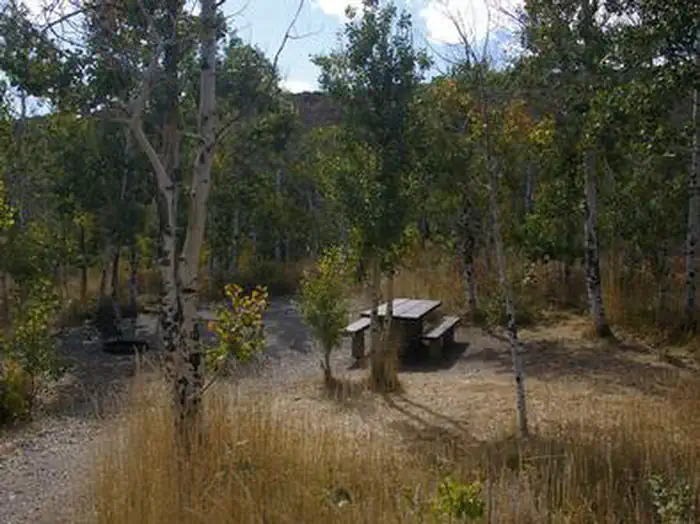Angel Creek (Humboldt-Toiyabe National Forest, NV) photo 3
