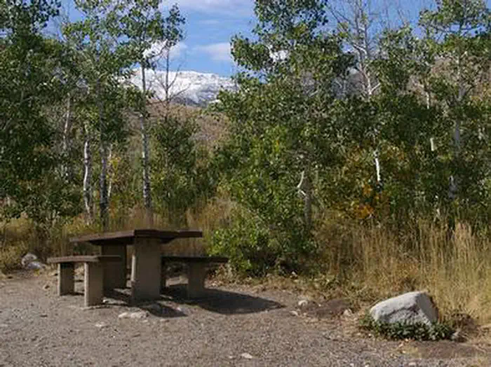 Angel Creek (Humboldt-Toiyabe National Forest, NV) photo 5