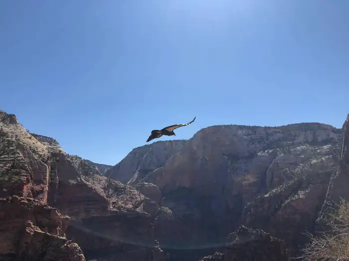 Angels Landing: Fall (Hikes on September 1 – November 30) photo 3