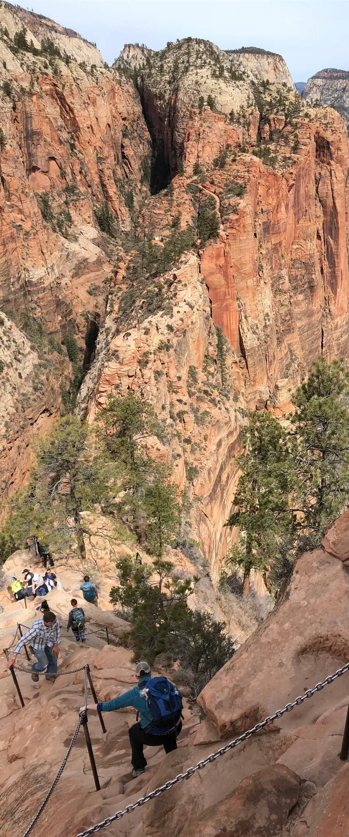 Angels Landing: Spring (Hikes on March 1 -- May 31) photo 5